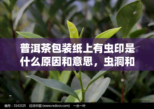 普洱茶包装纸上有虫印是什么原因和意思，虫洞和虫眼处理方法