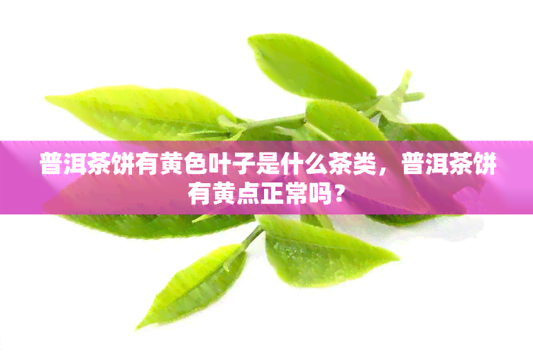 普洱茶饼有黄色叶子是什么茶类，普洱茶饼有黄点正常吗？