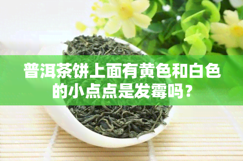 普洱茶饼上面有黄色和白色的小点点是发霉吗？