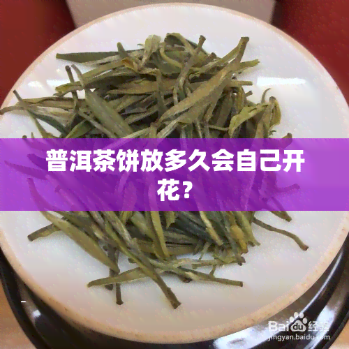 绿茶普洱是生茶吗_绿茶生普洱茶的区别_普洱生茶是不是绿茶