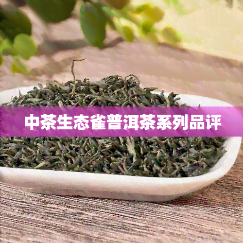 中茶生态雀普洱茶系列品评