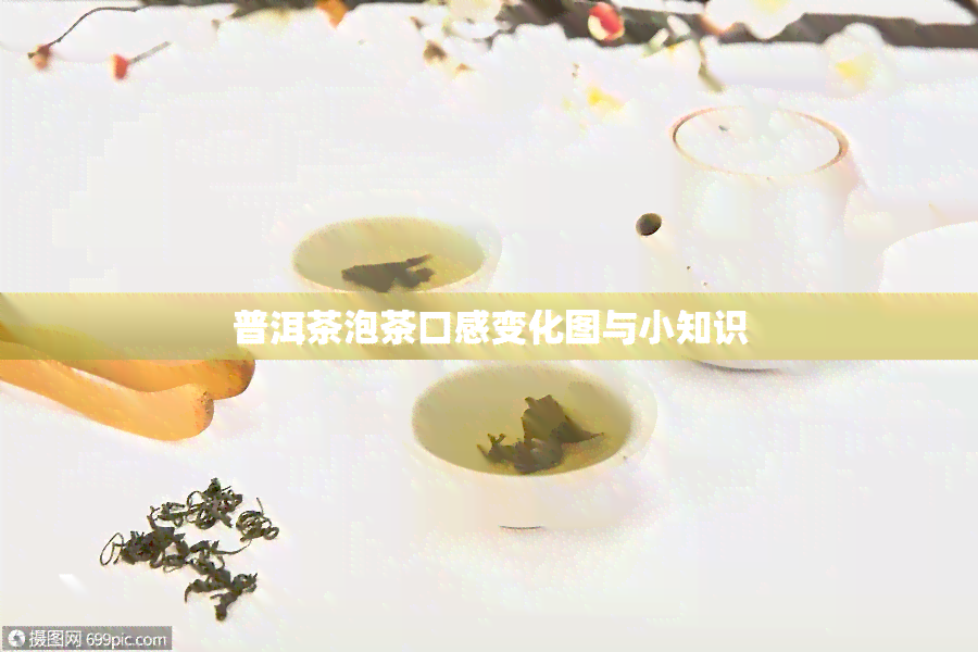 普洱茶泡茶口感变化图与小知识