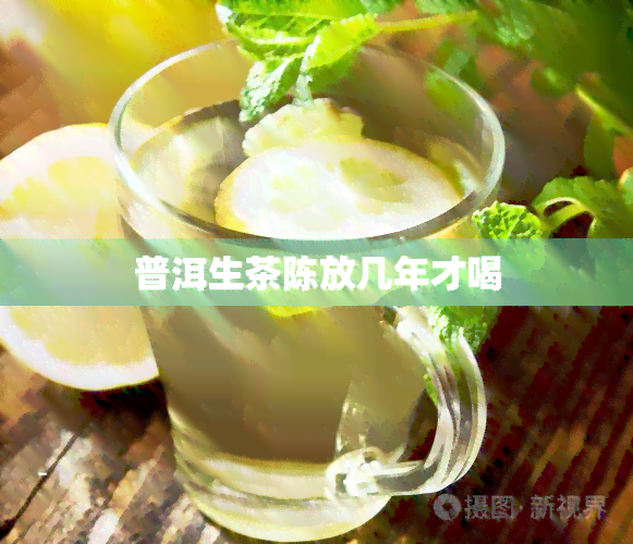 普洱生茶陈放几年才喝