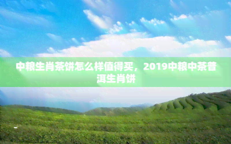 中粮生肖茶饼怎么样值得买，2019中粮中茶普洱生肖饼