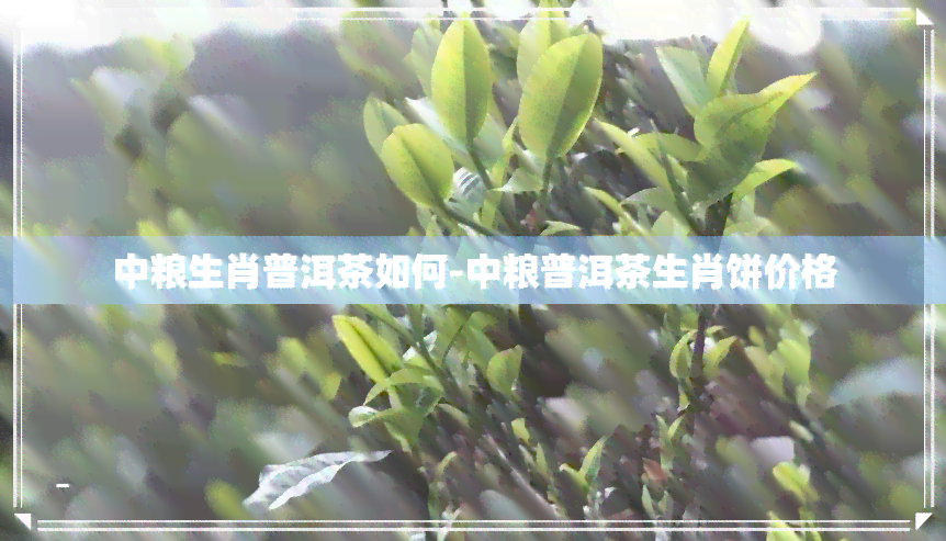 中粮生肖普洱茶如何-中粮普洱茶生肖饼价格