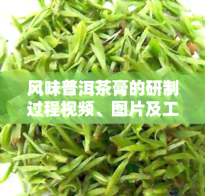 风味普洱茶膏的研制过程视频、图片及工艺流程