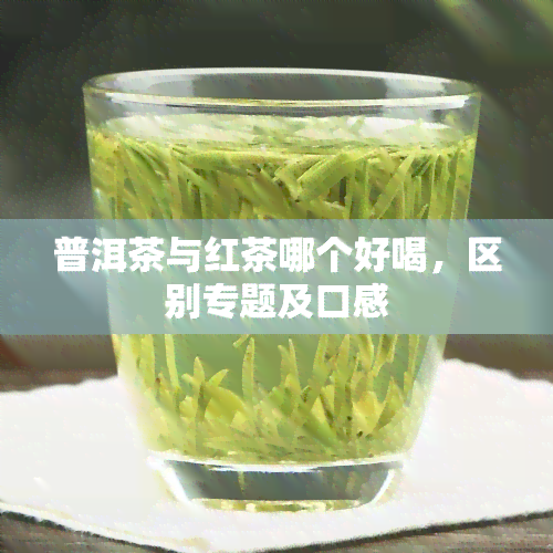 普洱茶与红茶哪个好喝，区别专题及口感