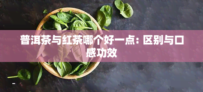 普洱茶与红茶哪个好一点: 区别与口感功效