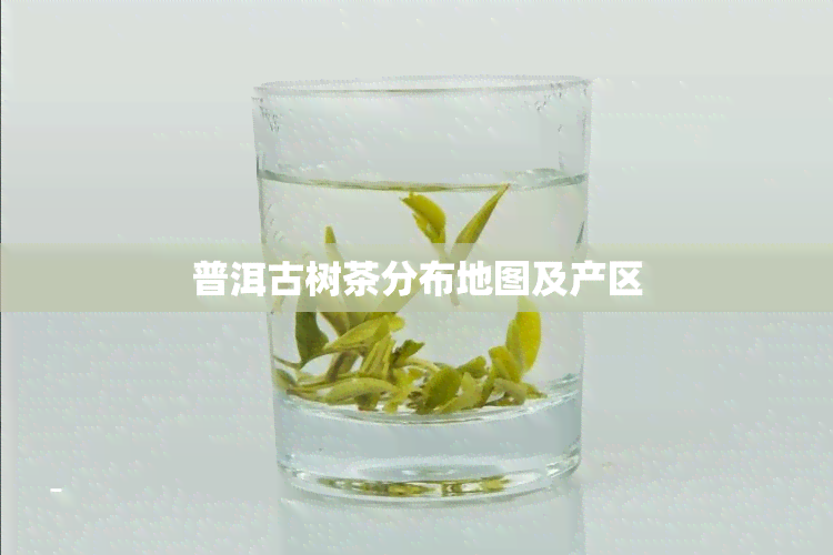 普洱古树茶分布地图及产区