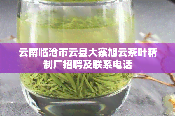 云南临沧市云县大寨旭云茶叶精制厂招聘及联系电话