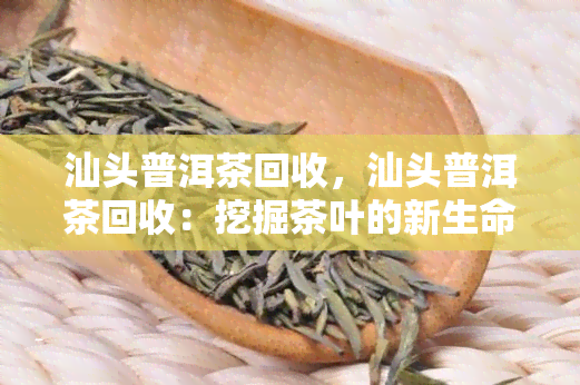 汕头普洱茶回收，汕头普洱茶回收：挖掘茶叶的新生命