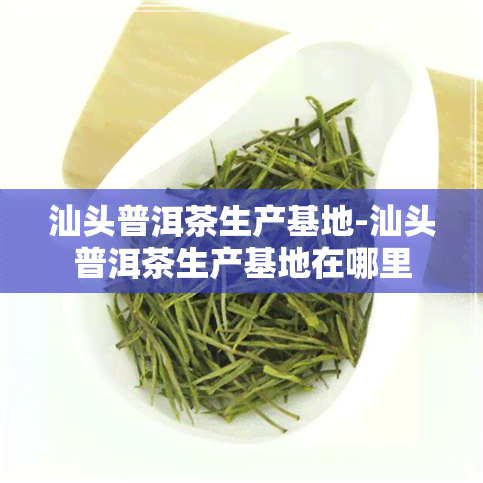 汕头普洱茶生产基地-汕头普洱茶生产基地在哪里