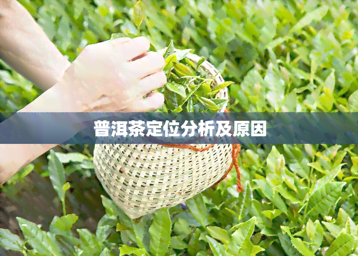 普洱茶定位分析及原因