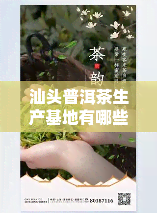 汕头普洱茶生产基地有哪些和企业