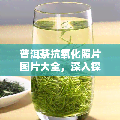 普洱茶抗氧化照片图片大全，深入探究：普洱茶抗氧化效果的完整视角