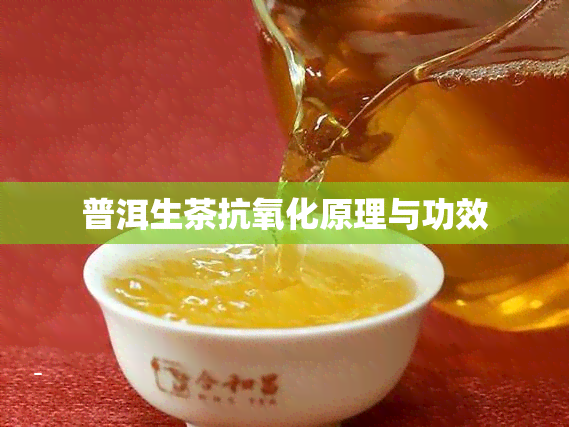 普洱生茶抗氧化原理与功效