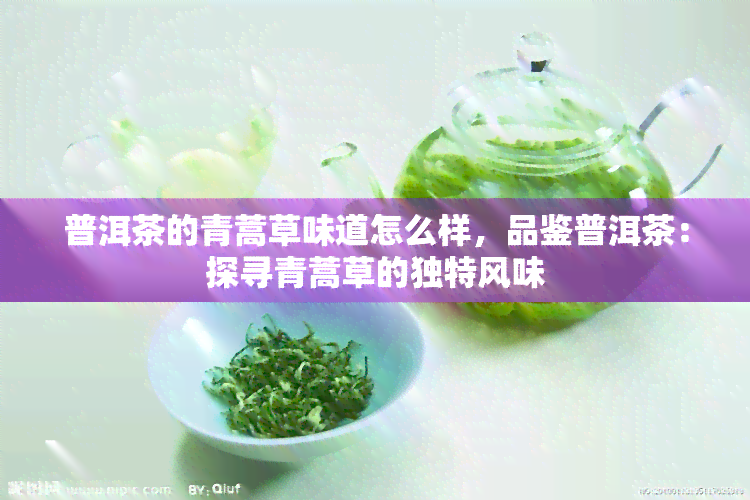 普洱茶的青蒿草味道怎么样，品鉴普洱茶：探寻青蒿草的独特风味