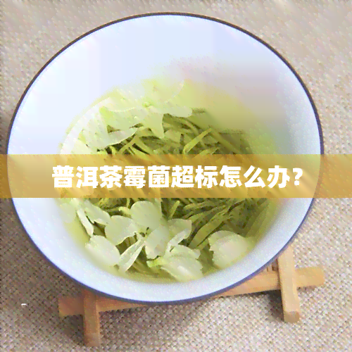 普洱茶霉菌超标怎么办？