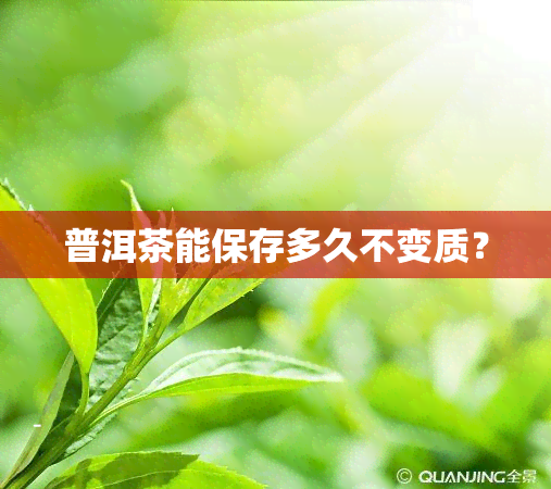 普洱茶能保存多久不变质？