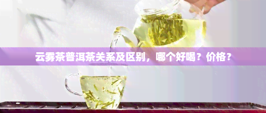 云雾茶普洱茶关系及区别，哪个好喝？价格？