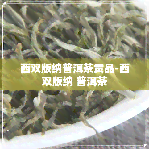 西双版纳普洱茶贡品-西双版纳 普洱茶