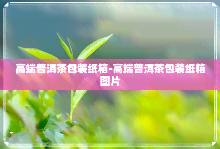 高端普洱茶包装纸箱-高端普洱茶包装纸箱图片