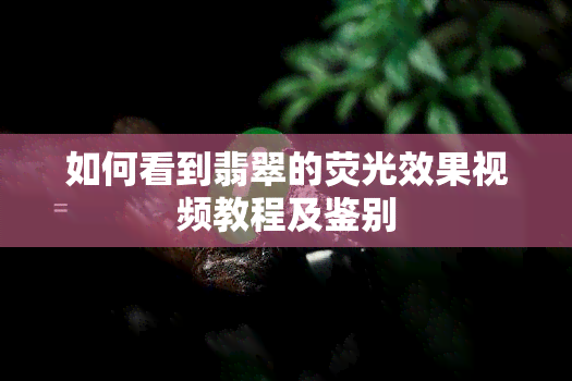 如何看到翡翠的荧光效果视频教程及鉴别