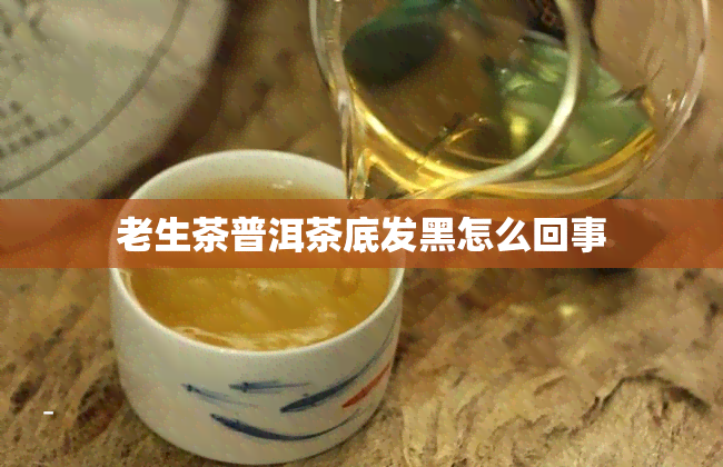 老生茶普洱茶底发黑怎么回事