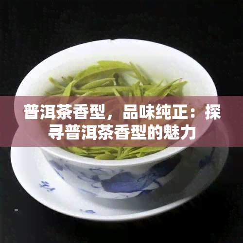 普洱茶香型，品味纯正：探寻普洱茶香型的魅力