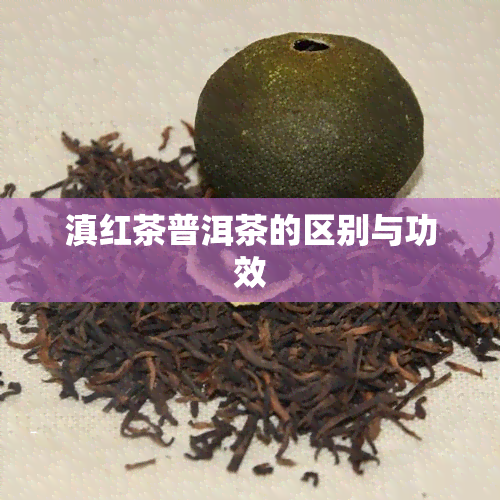 滇红茶普洱茶的区别与功效