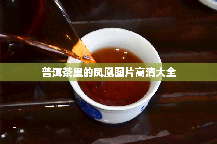 普洱茶里的凤凰图片高清大全