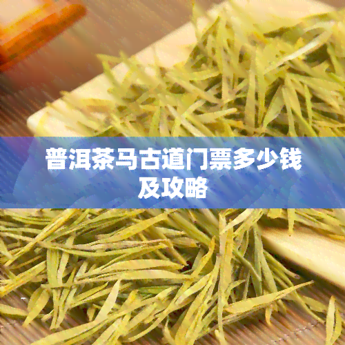 普洱茶马古道门票多少钱及攻略