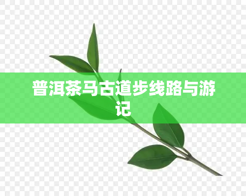 普洱茶马古道步线路与游记