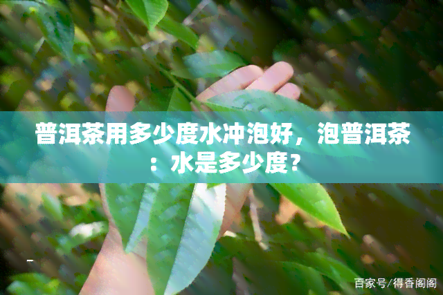 普洱茶用多少度水冲泡好，泡普洱茶：水是多少度？