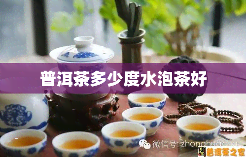 普洱茶多少度水泡茶好