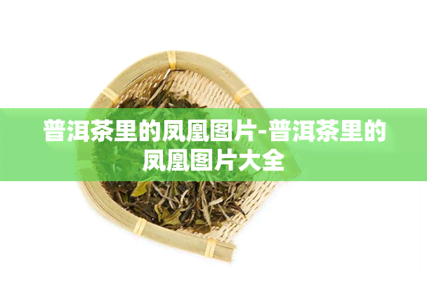 普洱茶里的凤凰图片-普洱茶里的凤凰图片大全