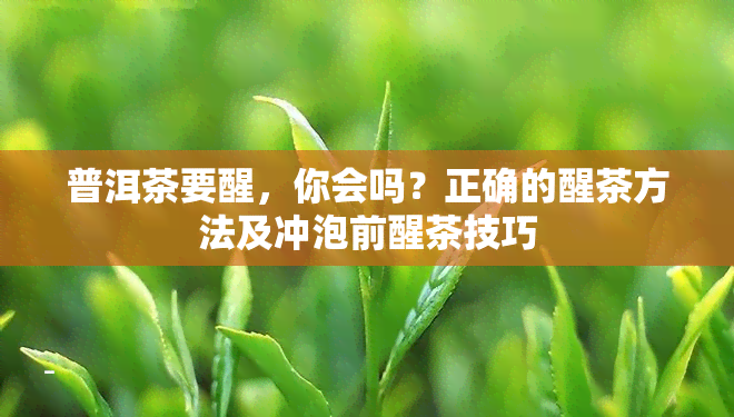 普洱茶要醒，你会吗？正确的醒茶方法及冲泡前醒茶技巧