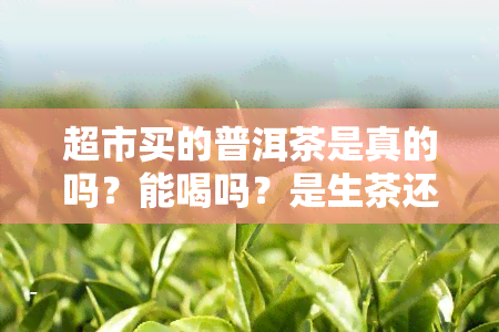 超市买的普洱茶是真的吗？能喝吗？是生茶还是熟茶？