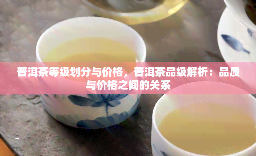 普洱茶等级划分与价格，普洱茶品级解析：品质与价格之间的关系