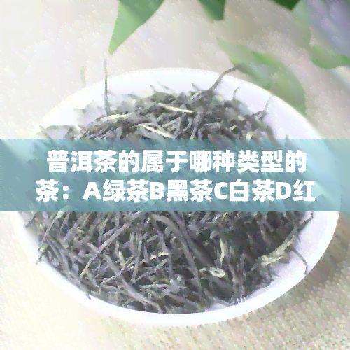 普洱茶的属于哪种类型的茶：A绿茶B黑茶C白茶D红茶