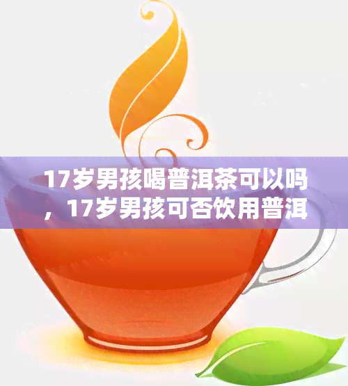 17岁男孩喝普洱茶可以吗，17岁男孩可否饮用普洱茶？了解年龄限制和健风险