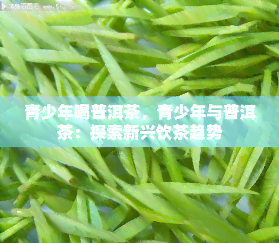 青少年喝普洱茶，青少年与普洱茶：探索新兴饮茶趋势