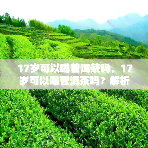 17岁可以喝普洱茶吗，17岁可以喝普洱茶吗？解析青少年饮茶的健风险与禁忌