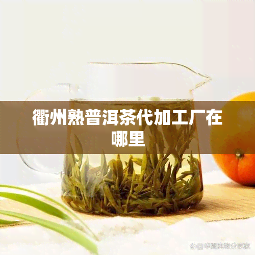 衢州熟普洱茶代加工厂在哪里