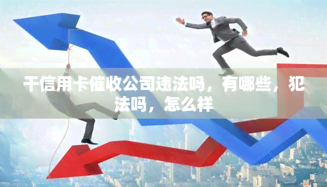 干信用卡公司违法吗，有哪些，犯法吗，怎么样