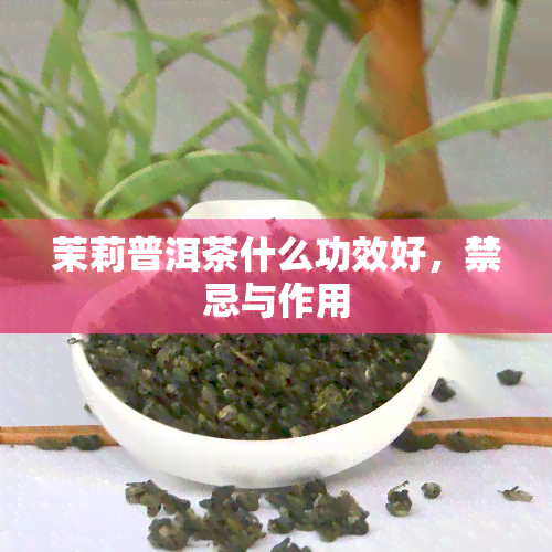 茉莉普洱茶什么功效好，禁忌与作用