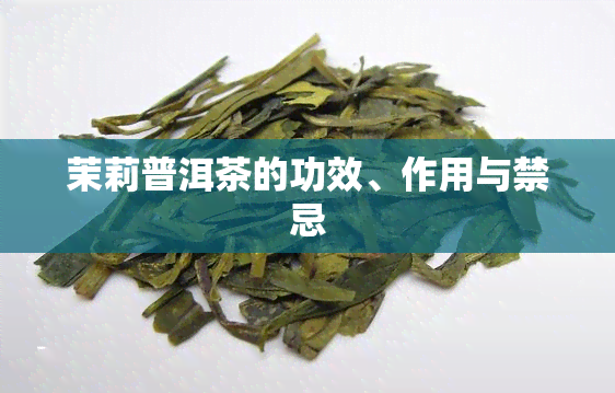 茉莉普洱茶的功效、作用与禁忌