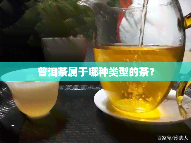 普洱茶属于哪种类型的茶？