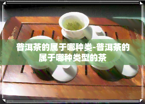 普洱茶的属于哪种类-普洱茶的属于哪种类型的茶