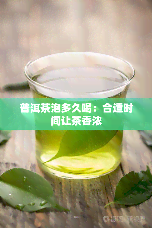 普洱茶泡多久喝：合适时间让茶香浓